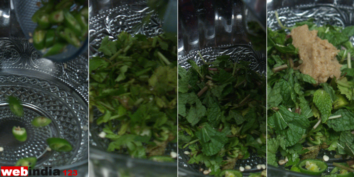 chillies, coriander leaves, mint leaves, ginger-garlic paste