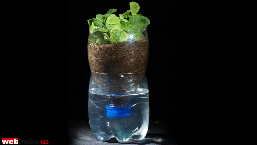 Self Watering Container