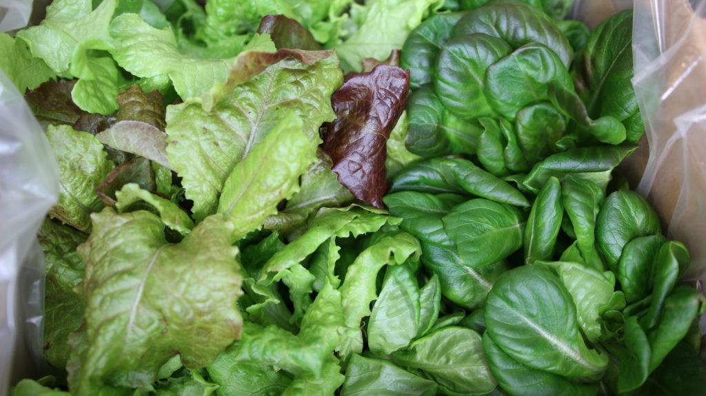 Salads boost Brain health