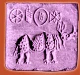 The seal of the rhinoceros