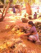 Coir-making