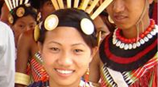 Nagaland - Land, People, Festival, Arts, Tourism, Economy