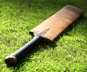 Cricket bat