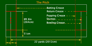 Cricket Pitch