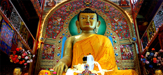  image of budha