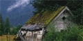 tourism in arunachal