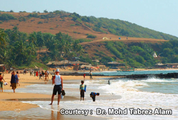 Anjuna Beach,Goa