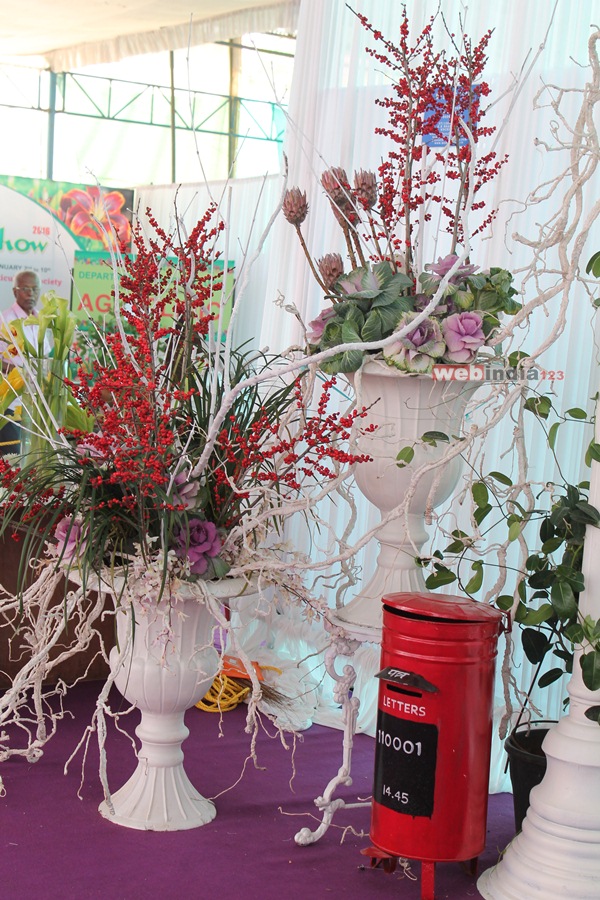 Cochin Flower Show 2016, Photo 13, Cochin Flower Show 2016 at