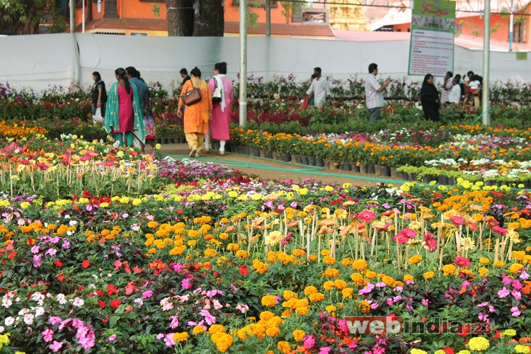 Cochin Flower Show 2017