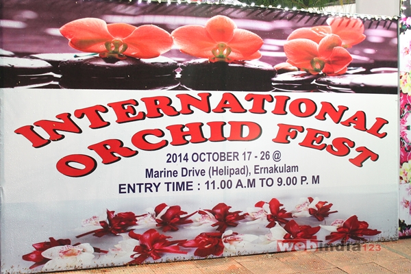 International Orchid Fest 2014 at Marine Drive