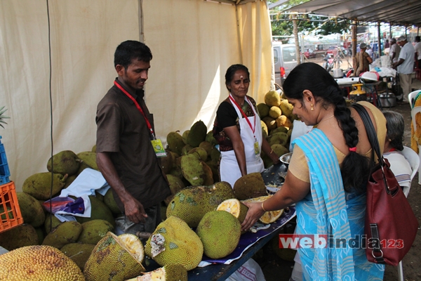 Thenvarikka Fest 2015