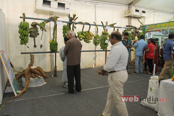 Vasantholsavam 2014