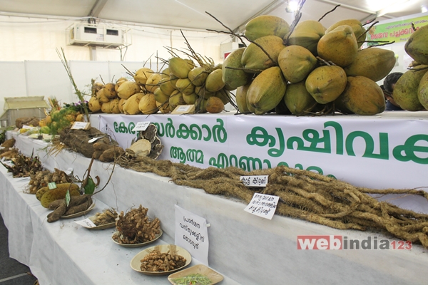 Vasantholsavam 2014