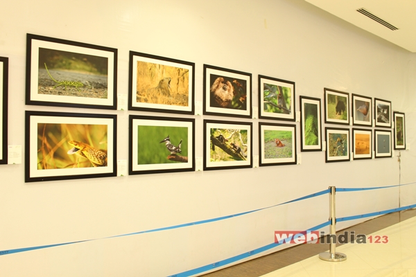 Wildlife Photo Exhibition 2015