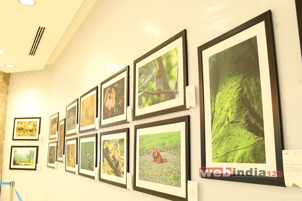 Wildlife Photo Exhibition 2015