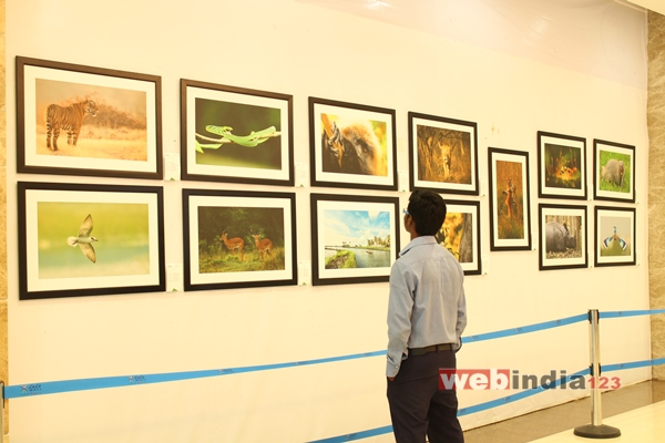 Wildlife Photo Exhibition 2015