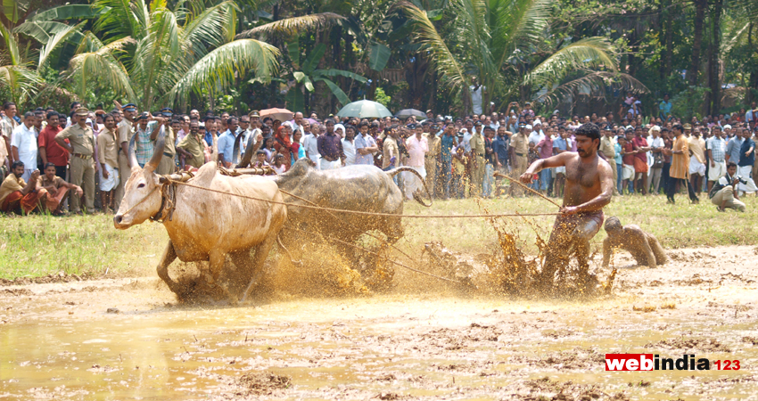 Kakkoor Kalavayal