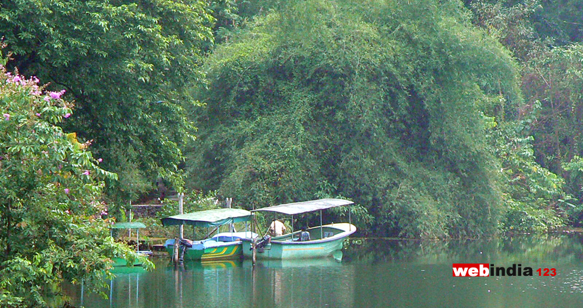 Salim Ali Bird sanctuary , Thattekkadu