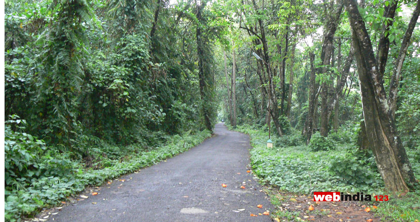 Kumarakom Bird Sanctuary