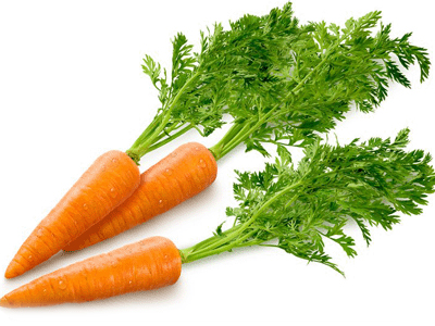 Carrot