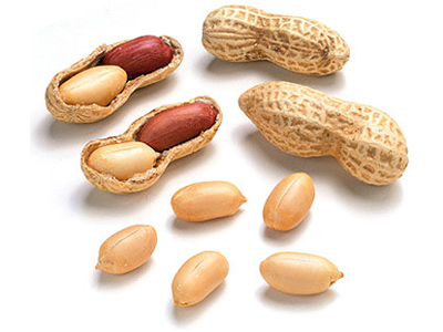 Groundnut