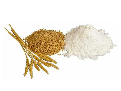 Wheat Flour 