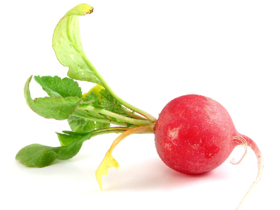 Radish