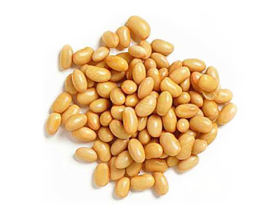 Soyabean