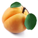Appricots