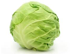 Cabbage