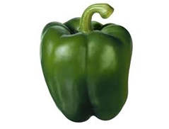 Capsicum