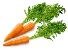 Carrot