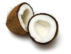 Coconut