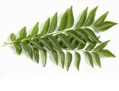 Curry leaves