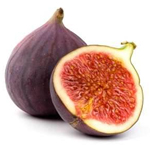 Fig