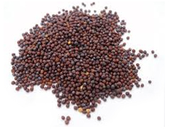 Mustard seeds