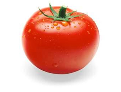 Tomato