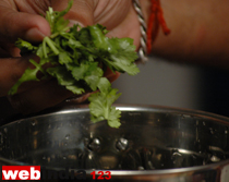 coriander leaves