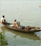 Bengali