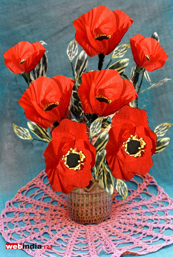 Poppy Flowers