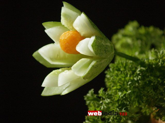 Cucumber Flower