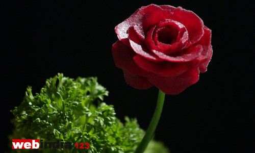 Beetroot Rose Flower