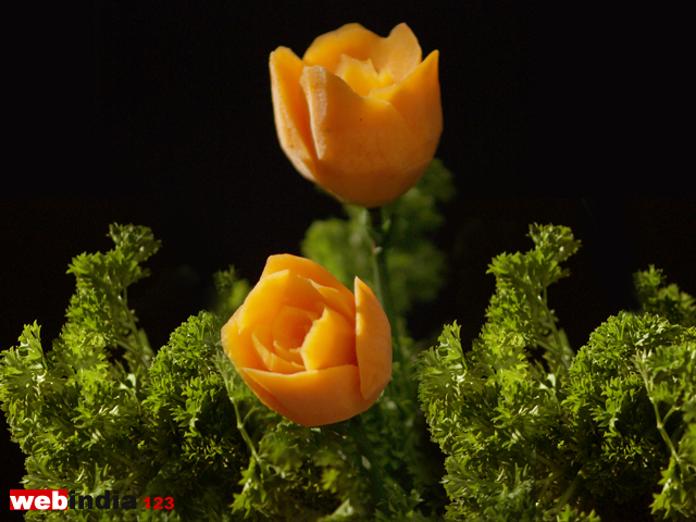 Carrot Rose