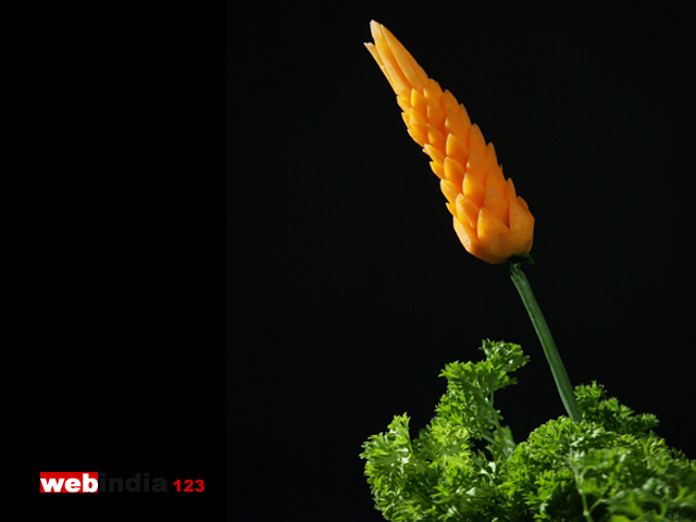 Carrot flower