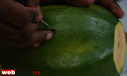 round shaped petals around the papaya