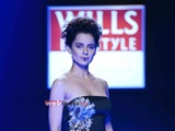 Wills_Lifestyle_India_Fashion_Week__Autumn_Winter_2014-_Day_5