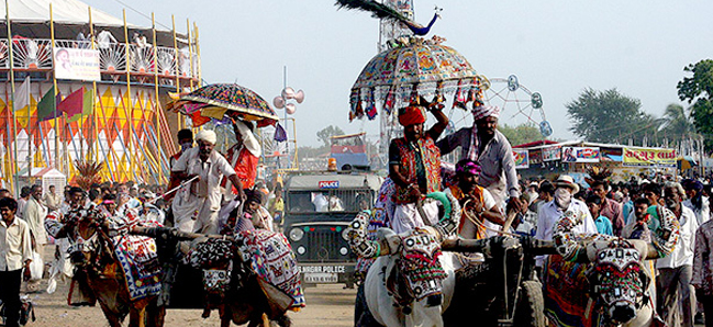 Festivals