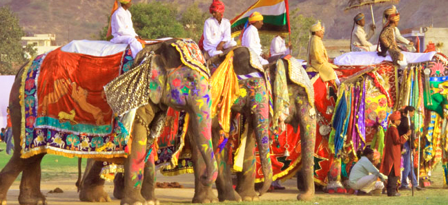 Elephant Festival