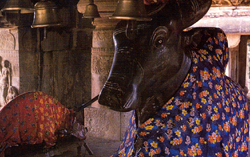 Nandi Mandapa at the Virupaksha temple, Pattadackal