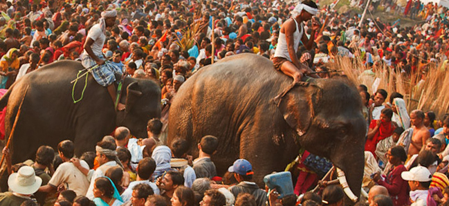 Sonepur Mela